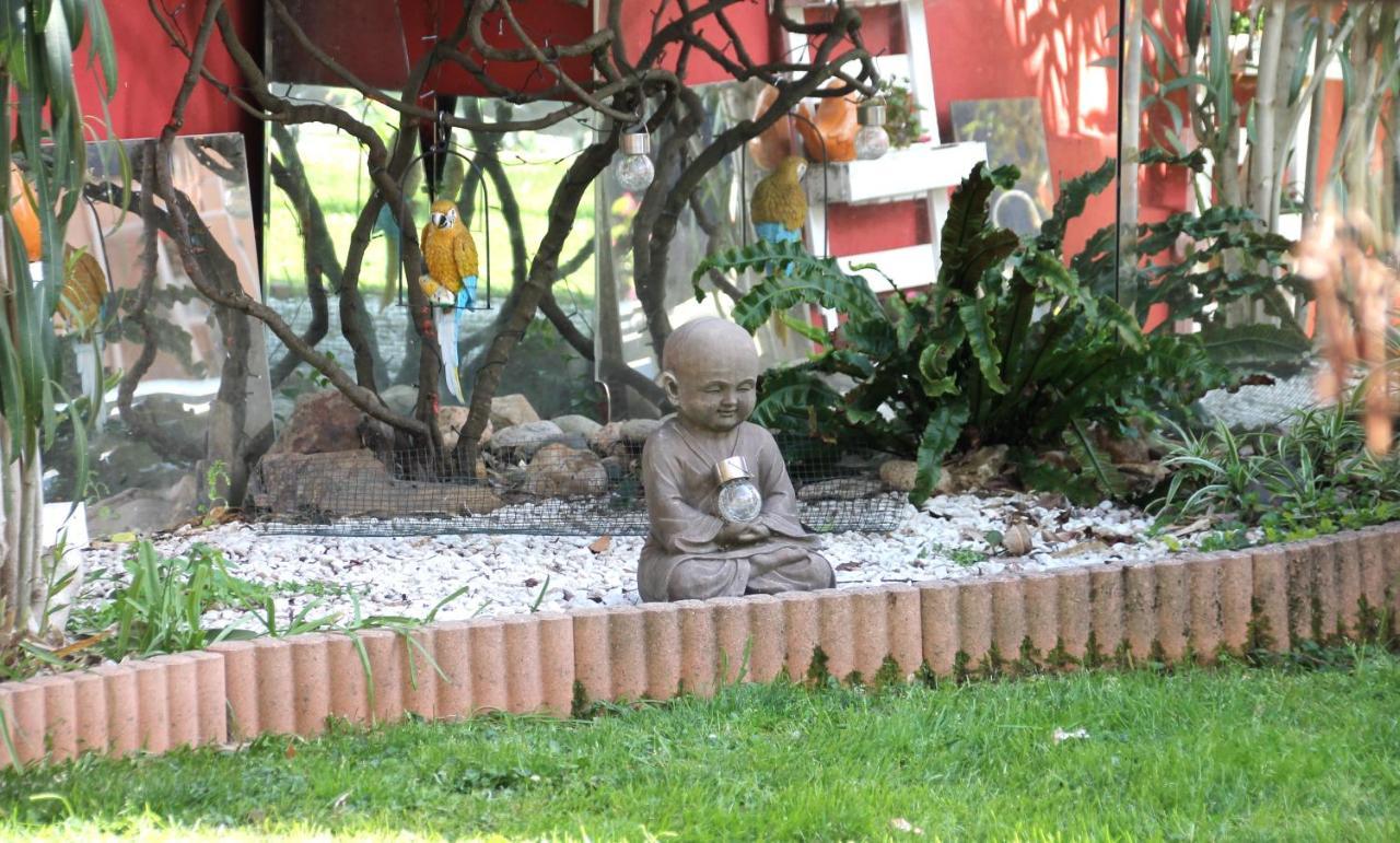 Maison Toulousaine avec jardin Toulouse Extérieur photo