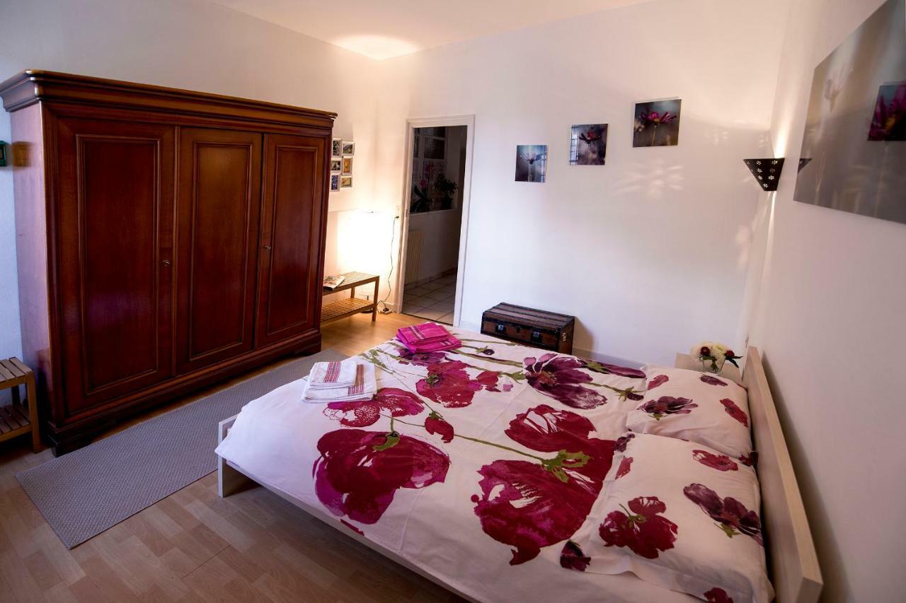 Maison Toulousaine avec jardin Toulouse Extérieur photo